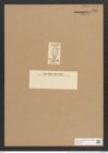 Gomphonema crassum Rabh. (de-Toni-Nr.: Genus 37, Species 1769) Zeichnungen Sammlung Grunow Nr. 3517 (NHMW-BOT-W0371082)